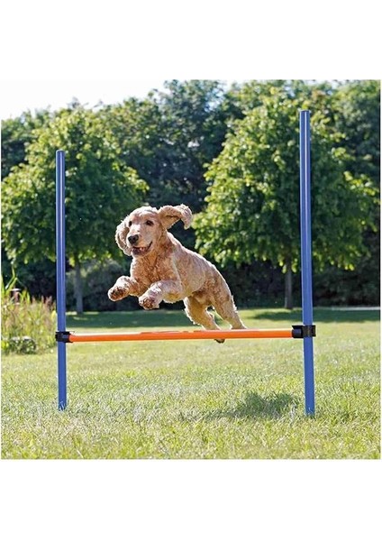 Köpek Agility Eğitim Manisi , 123×115×Ø3 cm modelleri