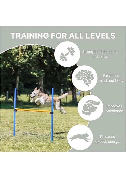 Köpek Agility Eğitim Manisi , 123×115×Ø3 cm fırsatları