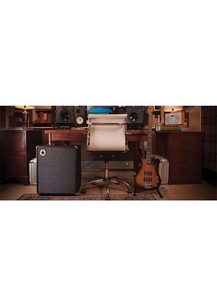 Unity Bass U30 Kombo Bas Gitar Amfi