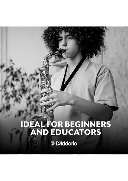 D'addario Rıco Tenor Saksafon Yaprakları fiyatları