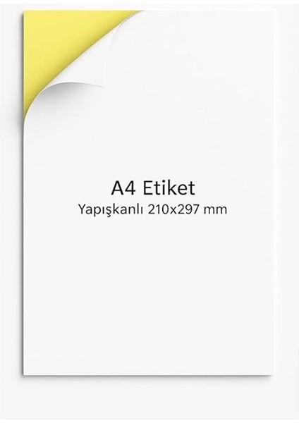 Nexup Label A4 Etiket Yapışkanlı | 100 Sayfa Adres Etiketi 210X297 mm - 100 Sayfa Çok Amaçlı