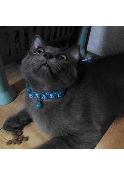 Pawise Çapa Desenli Yeşil Kedi Boyun Tasması 30 cm modelleri