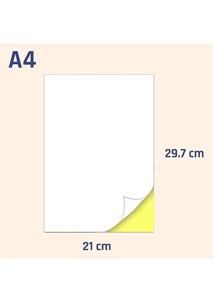 Nexup Label A4 Etiket Yapışkanlı | 100 Sayfa Adres Etiketi 210X297 mm - 100 Sayfa Çok Amaçlı modelleri