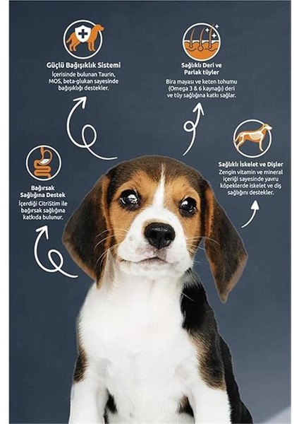 Puppy Lamb Kuzulu Yavru Köpek Maması, 15 kg modelleri