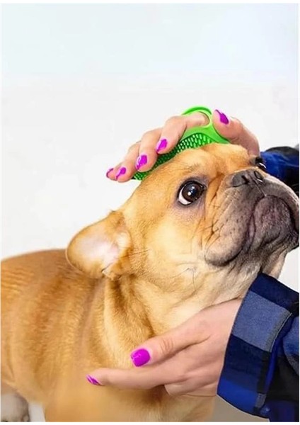 Silikon Evcil Hayvan Tüy Toplama ve Yıkama Fırçası, Pratik ve Dayanıklı