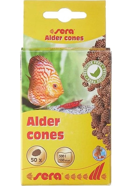 Kızılağaç Kozalağı 50 Adet