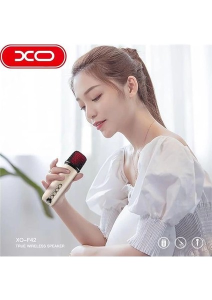 Kablosuz Bluetooth Hoparlör ve Karaoke Mikrofon F42 – 10W Güç, Rgb Işıklı, Tf