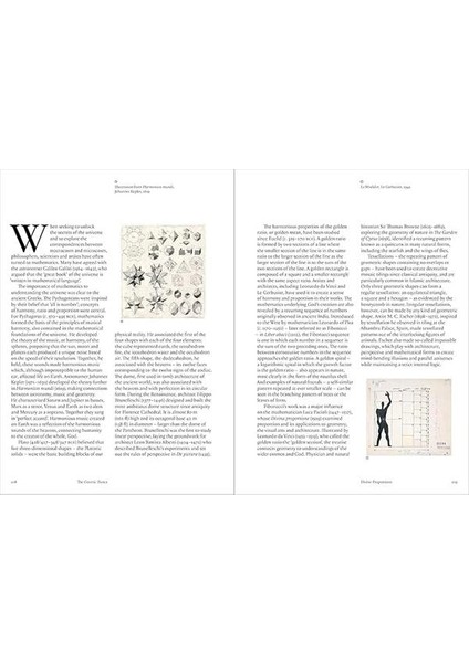 The Cosmic Dance: Finding Patterns And Pathways In A Chaotic Universe