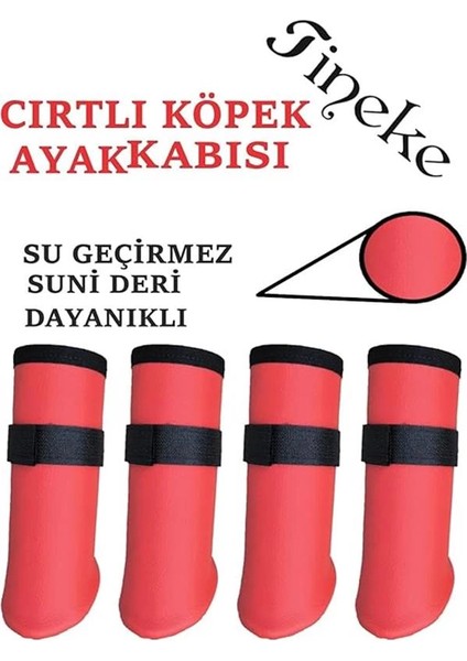 Cırtlı Köpek Ayakkabısı (Kırmızı, S Beden) fiyatları