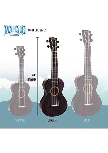 Hano Series Concert Ukulele (Transparent Black) indirimleri