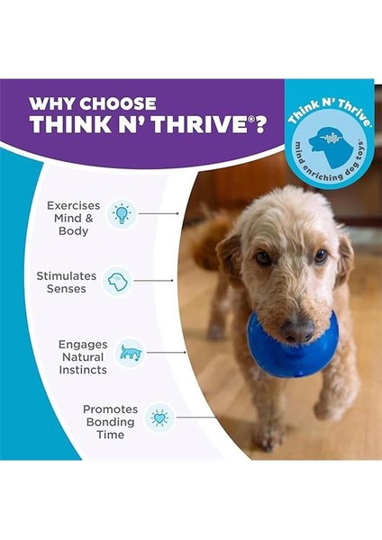 Planet Dog Orbee-Tuff Lil' Snoop - Köpekler Için Interaktif Oyuncak - Atıştırmalık