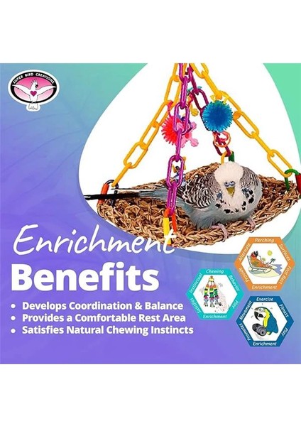 SB747 Mini Uçan Trapez Kuş Oyuncağı, Küçük Kuş Boyutu, 6 "x 7" x 9" indirimleri