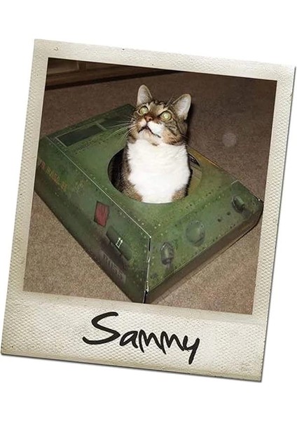 Kedi Oyun Evi | Yeni Karton Kedi Tankı | Kedi Oyuncağı ve Aksesuar | Düz Paketlenmiş ve indirimleri