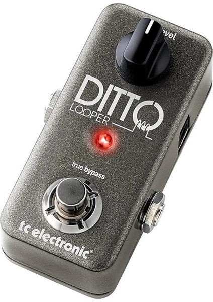 Ditto Looper - Loop Pedalı