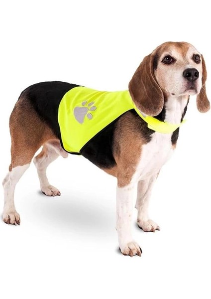 Gece Yürüyüş Güvenlik Yeleği, Köpek, L, 38 cm fırsatları