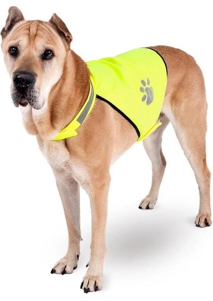 Gece Yürüyüş Güvenlik Yeleği, Köpek, L, 38 cm indirimleri