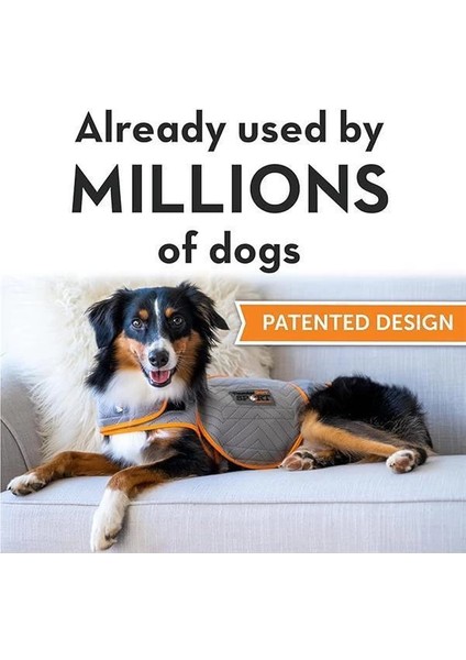 Köpekler Için Platin Spor Yelek, Xl Beden, Köpekler Için fiyatları