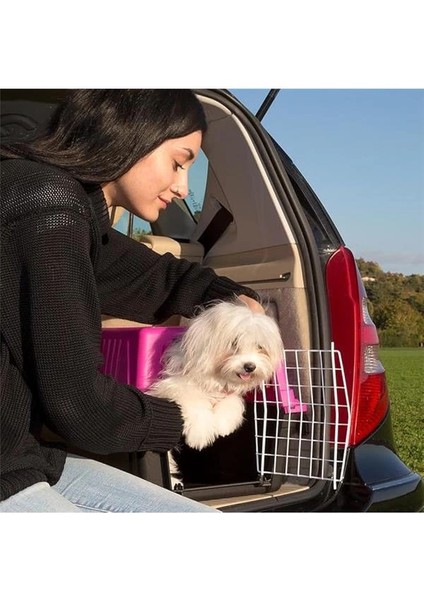 Atlas 10 Taşıma Çantası, Fuşya, Palet, Pink, El