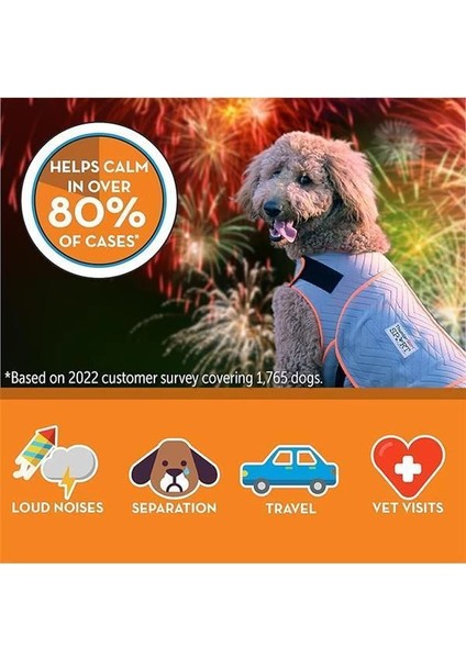 Köpek Giyim Köpek Anksiyete Ceketi, Platin, X-Small Abd fırsatları