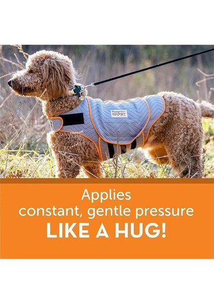 Köpek Giyim Köpek Anksiyete Ceketi, Platin, X-Small Abd indirimleri