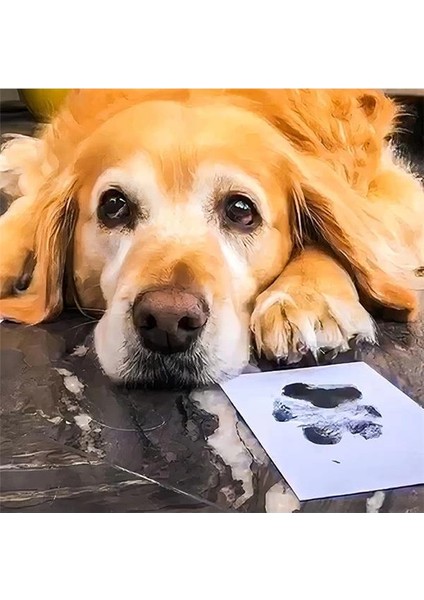 Evcil Hayvan Pati Izi Seti - Toksik Olmayan Mürekkepsiz Baskı Kiti - Kedi ve Köpek Için Uygun modelleri