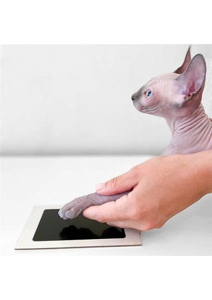 Evcil Hayvan Pati Izi Seti - Toksik Olmayan Mürekkepsiz Baskı Kiti - Kedi ve Köpek Için Uygun indirimleri