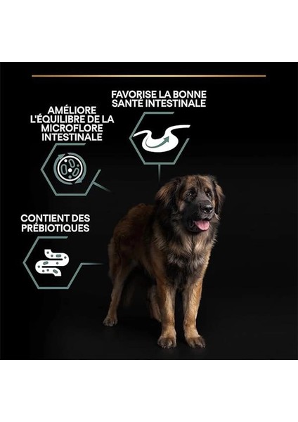 Large Robust Adult Kuzu Etli Köpek Maması 14 kg