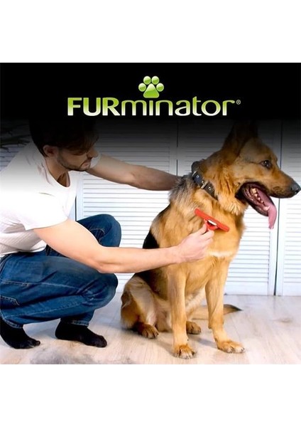 Kisa Tüylü Köpekler Için - Xlarge