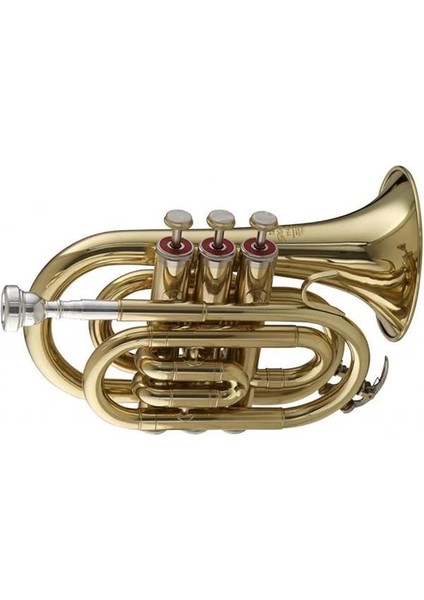 Ws - TR245 Bb Pocket Trompet, Çantalı