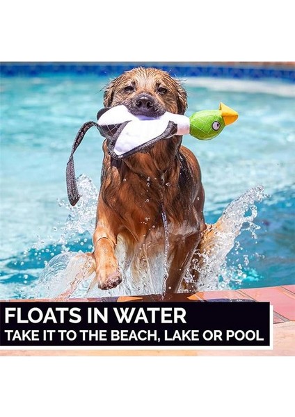 Uçan Ördek Sapan Mekanizmalı Köpek Oyuncağı (Large) – Fırlat & Getir – Suda Yüzer modelleri