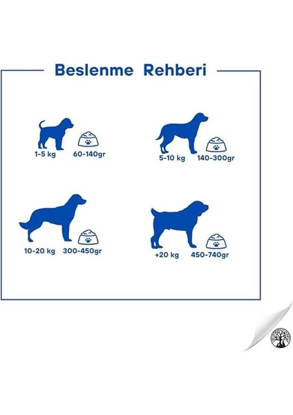 Somonlu ve Pirinçli Yetişkin Köpek Maması 15 kg fırsatları