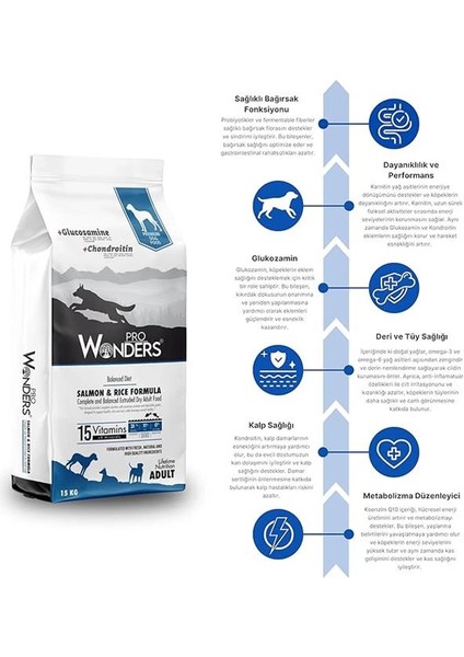 Somonlu ve Pirinçli Yetişkin Köpek Maması 15 kg