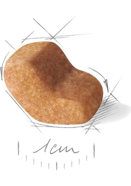 Köpek Maması Shih Tzu Adult 1.5 kg fırsatları