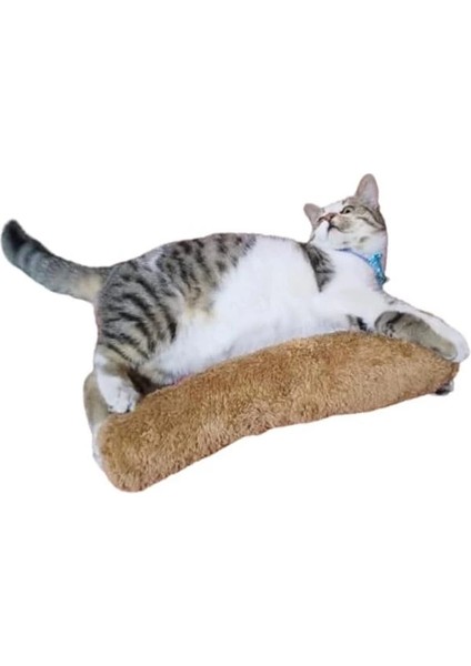 Kedi Oyuncağı Sarılma Yastığı Uyku Oyuncağı Kedi Otlu 30 cm Peluş (1 Adet) (Kahverengi) indirimleri