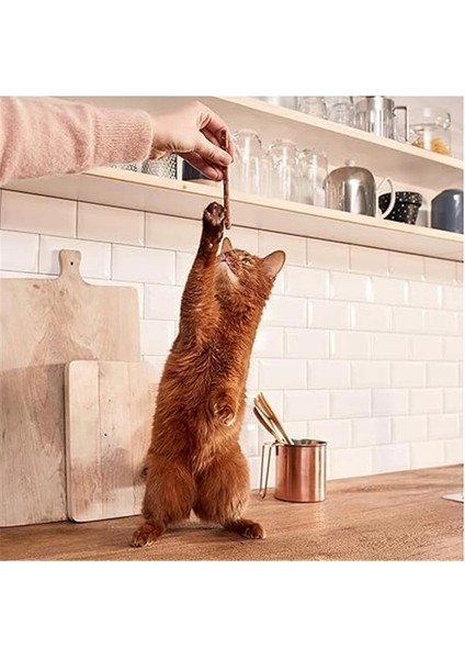 Sticks Kuzu Etli Tavuklu Ödül Çubukları 50 gr - 10LU