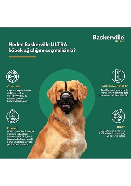 Baskerville Ultra Ağızlık, Boyut 2