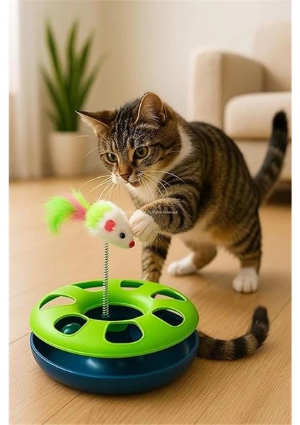 Kedi Oyuncak Seti, Yaylı Tüylü Toplu Kedi Eğlence Istasyonu, Dönerek Hareket Eden Toplu fiyatları