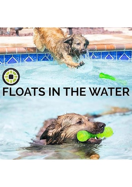 Dura-Squeaks Stick Köpek Oyuncağı (Medium) – Dayanıklı, Gıcırtılı & Suda Yüzen Köpek modelleri