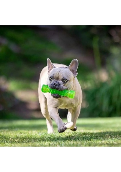 Dura-Squeaks Stick Köpek Oyuncağı (Medium) – Dayanıklı, Gıcırtılı & Suda Yüzen Köpek fırsatları