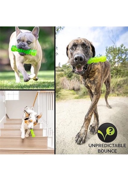 Dura-Squeaks Stick Köpek Oyuncağı (Medium) – Dayanıklı, Gıcırtılı & Suda Yüzen Köpek indirimleri