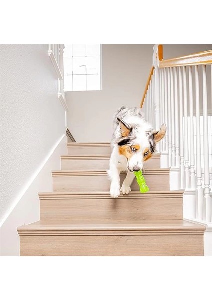 Dura-Squeaks Stick Köpek Oyuncağı (Medium) – Dayanıklı, Gıcırtılı & Suda Yüzen Köpek