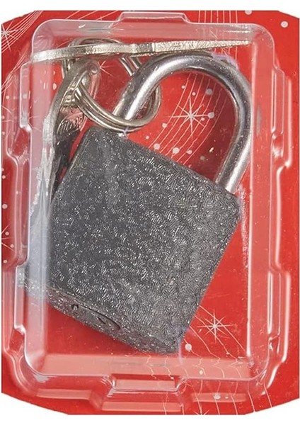 Tek-Iş 524164 Asma Kilit Gri Döküm, Gri, 25MM fırsatları