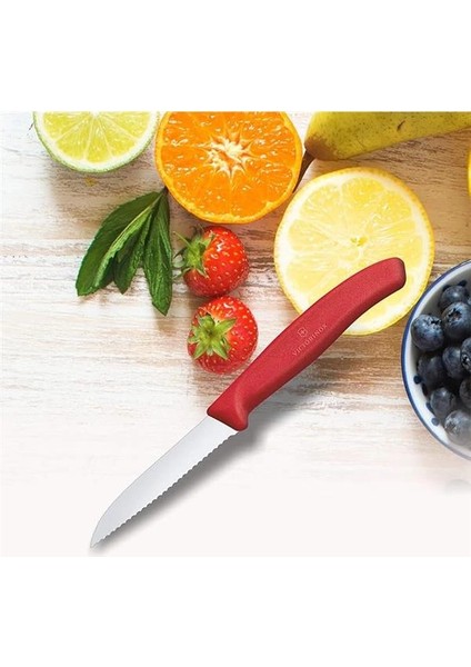 6.7431 Swissclassic 8cm Tırtıklı Soyma Bıçağı, Classic