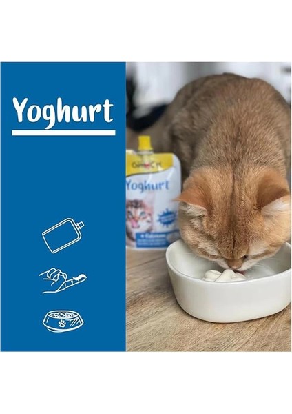 Yoğurt Kediler Için Tamamlayıcı Mama, Zengin Protein, Sindirime Yardımcı 150 G indirimleri