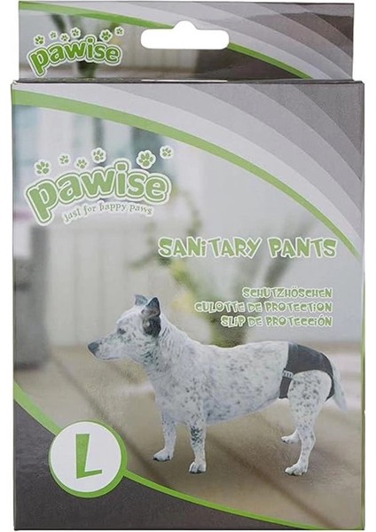 Pawise Köpek Regl Külodu No.2 fiyatları