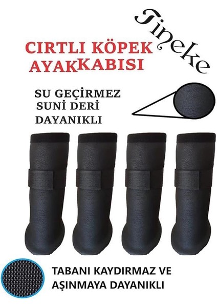 Cırtlı Köpek Ayakkabısı (Siyah, M Beden) fiyatları