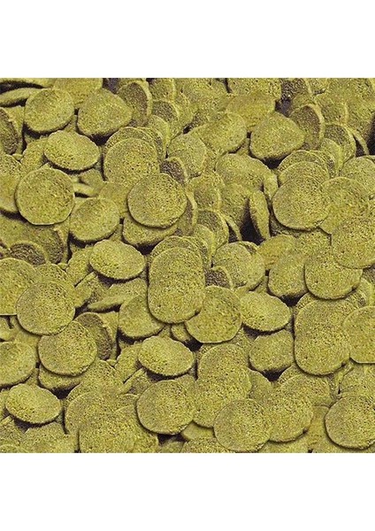 Wels-Chips 100 ml (38GR) fiyatları