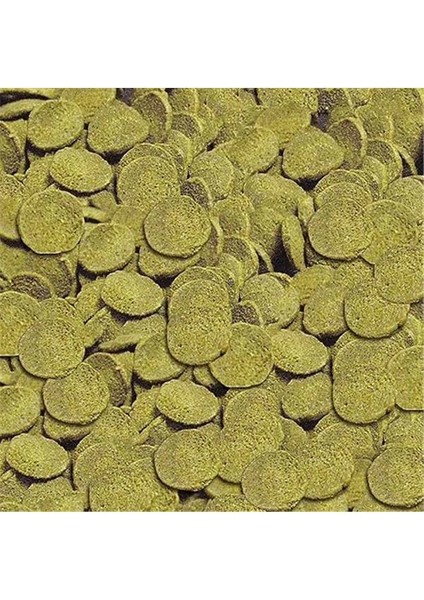 Wels-Chips 100 ml (38GR)