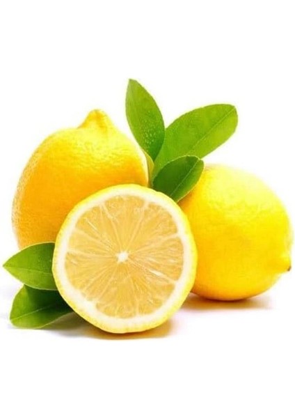 Doğal Ahşap Cilası Üstün Koruma 250 ml + Mikrofiber Bez Natural Wood Polishing Wax