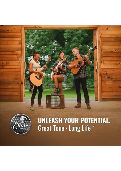 16102 Nanoweb Phosphor Bronze Akustik Gitar Teli (13-56) fırsatları